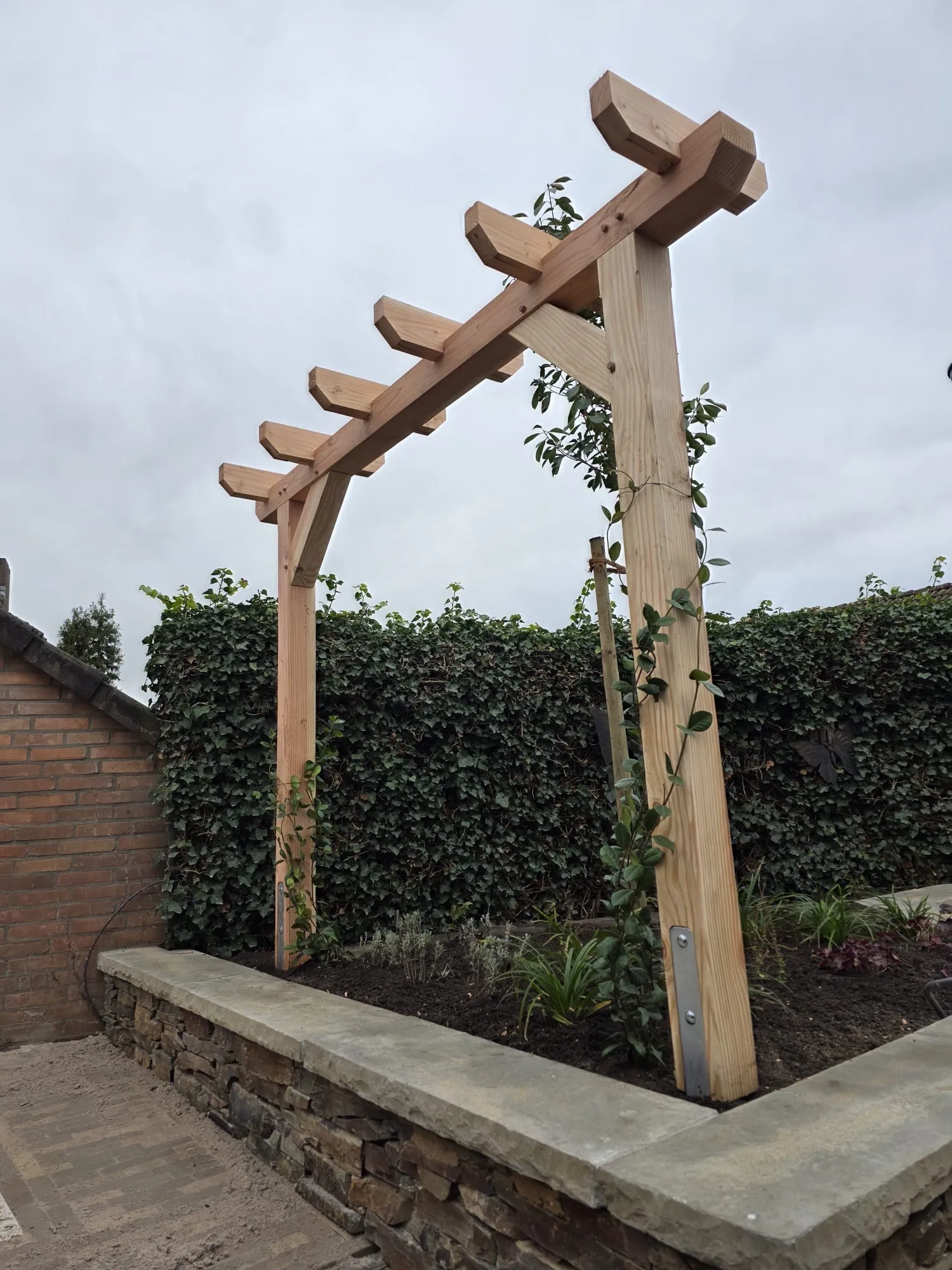 Douglas pergola met houten staanders en open balkconstructie in een tuin.